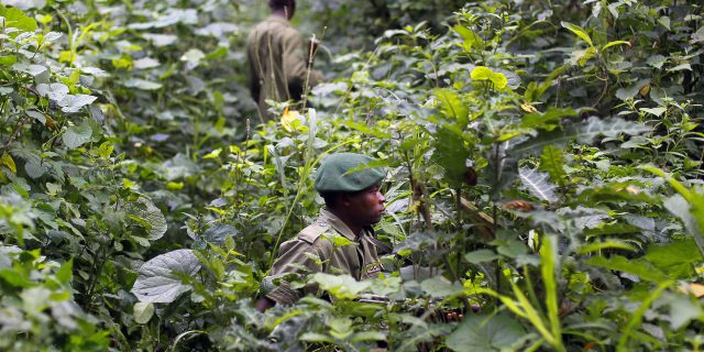 Morts de rangers en RDC: les rebelles hutu rwandais se défendent et accusent Kigali