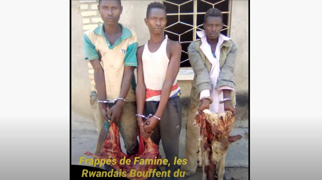 FRAPPÉS PAR LA FAMINE, LES RWANDAIS MANGENT DU CHIEN