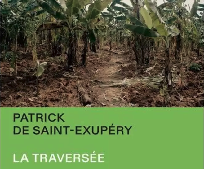 Couverture du livre "La Traversée - Une odyssée au cœur de l'Afrique", de Patrick de Saint-Exupéry, paru le 4 mars 2021, Essai (broché). © France 24